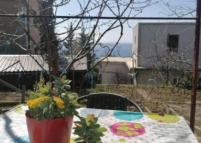 Olgi *
